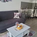 Casa Cu Lavanda شقة *