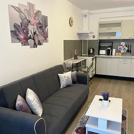 Apartment Casa Cu Lavanda Brasov