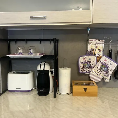 Casa Cu Lavanda Braşov