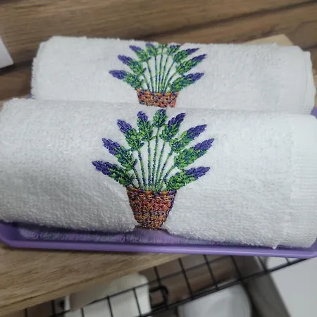 Appartamento Casa Cu Lavanda