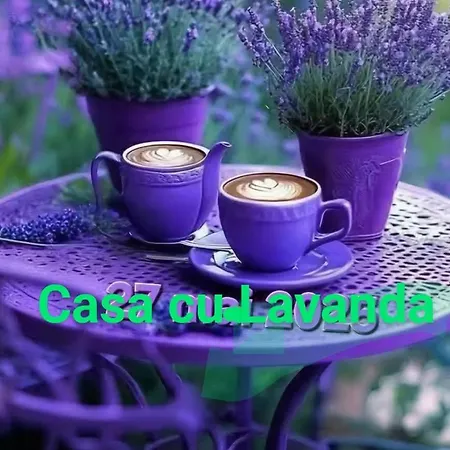 Casa Cu Lavanda Appartamento