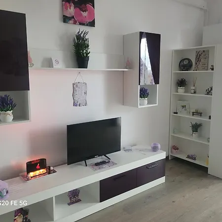 Casa Cu Lavanda Appartamento Braşov