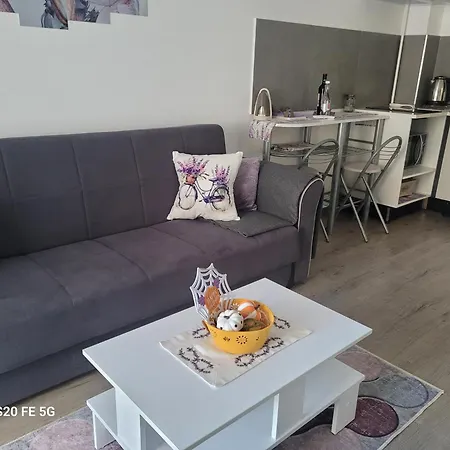 Casa Cu Lavanda Appartamento *