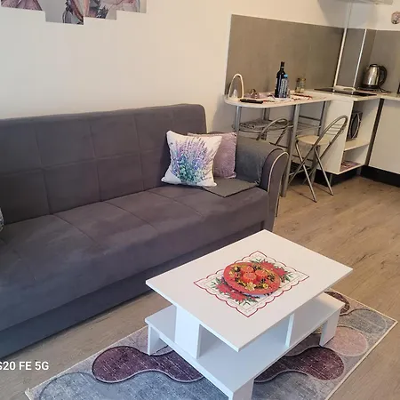 Casa Cu Lavanda Appartement *