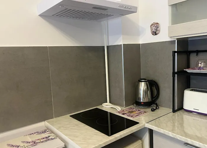 Casa Cu Lavanda Braşov