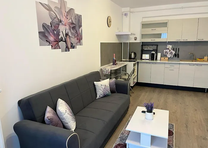 Appartement Casa Cu Lavanda Braşov