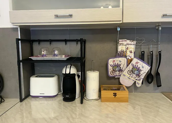 Casa Cu Lavanda Braşov