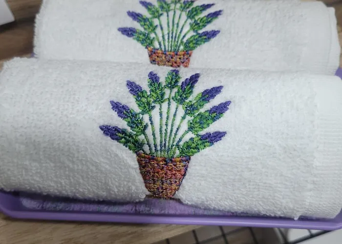 Apartmán Casa Cu Lavanda