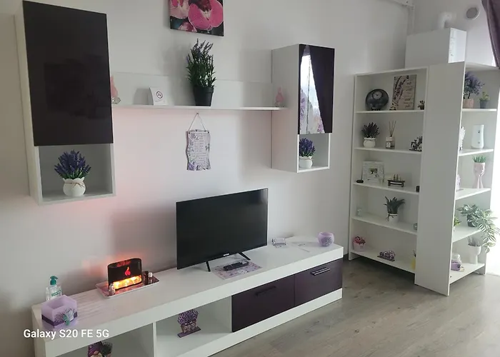 Casa Cu Lavanda Apartment Brasov