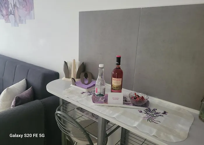 Casa Cu Lavanda * Braşov