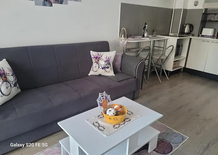 Casa Cu Lavanda Apartment *