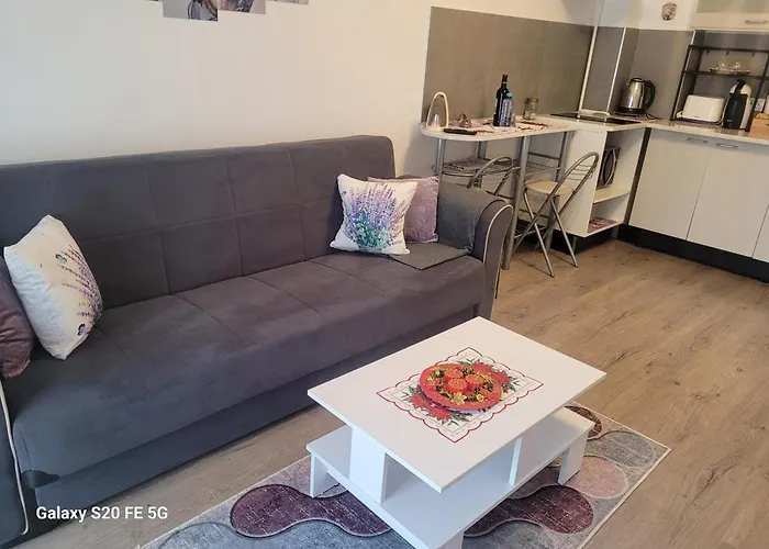 Casa Cu Lavanda Apartment *